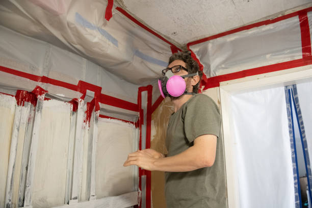 Best Water Damage & Mold Remediation  in Corydon, IA