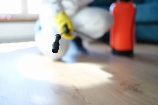 Mold Removal for HVAC Installations in Corydon, IA