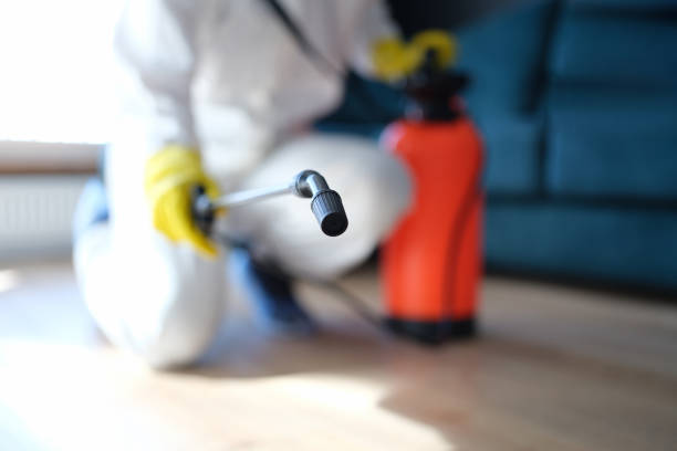 Best Mold Remediation for Healthcare Facilities  in Corydon, IA