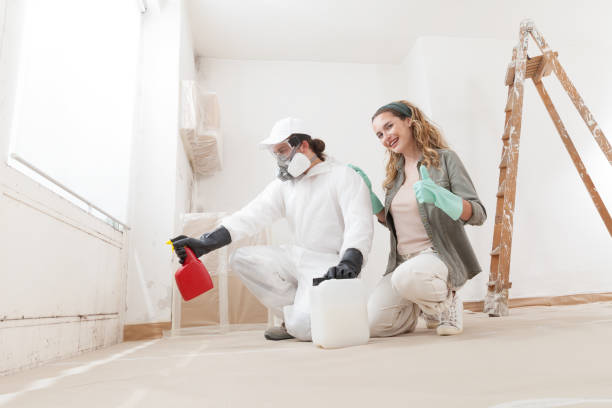 Best Mold Prevention Services  in Corydon, IA